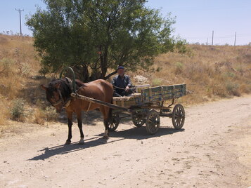 Eflatunpınar - Hittite monument - modern road