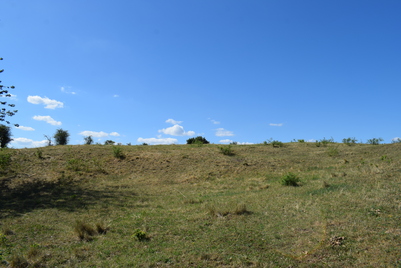 Kleinkastell Unter-Widdersheim Wiese und Weide, Bodendenkmal