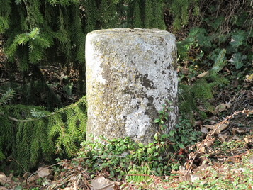 Säulenfragment aus Muschelsandstein