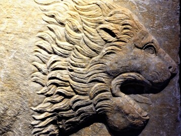 Αrchaeological museum of Tegea