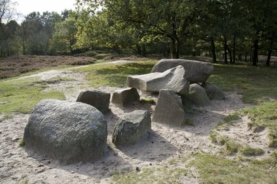 Hunebed D10: Hunebed, gelegen in de Gasterse Duinen