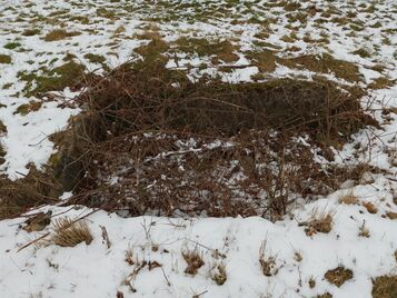 Gammel Hestehave Cist