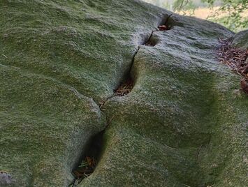 Kroghenlund Runddysse The large capstone has been damaged. It has been cleaved on two sides and has a series of drilled holes, suggesting an abandoned attempt to split the stone.