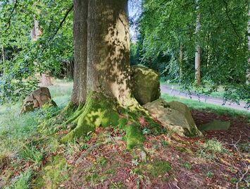 Kroghenlund Runddysse