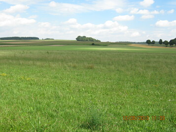 Fundort Villa Rustica Niederndorf Standort südlich von der Villa Rustica mit Blick nach Norden.
