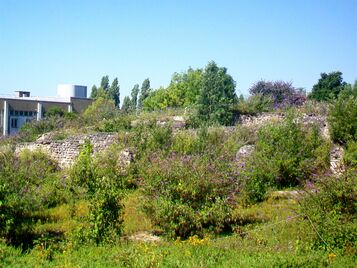 Sanctuaire gallo-romain de la Bauve Sanctuaire gallo-romain de la Bauve (site archéologique), Ie et IIe siècle. Situé sur un terrain délimité par la route de Varreddes (RD 2405a) à l'ouest, le boulevard du mémorail Américain (RD 2017a) au nord, la rue Jehan de Brie à l'est, et le centre de tri postal au sud. Les vestiges sont enfouis sous la végétation, mais bien visibles sur les photos aériennes. Partiellement visibles seulement depuis la rue Jehan de Bauges.