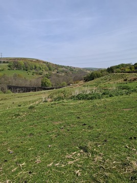NW ditches