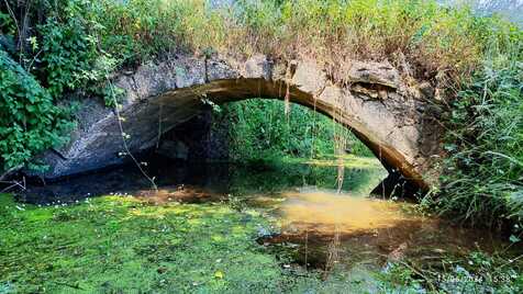 Barcoiça bridge