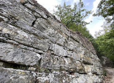 wall