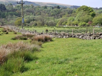 SE ditch SE ditch looking East