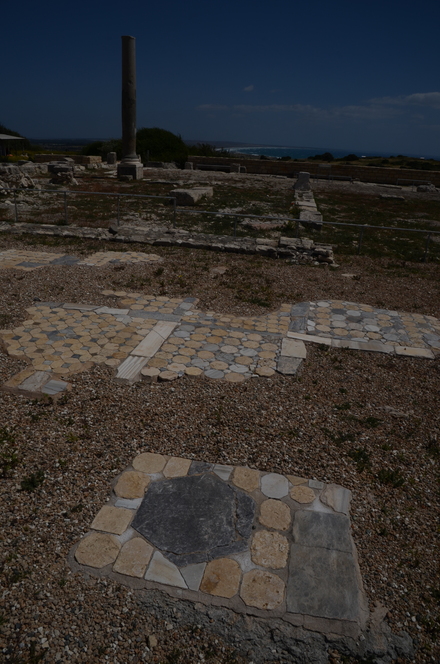 Kourion, Basilica, Floormosaic