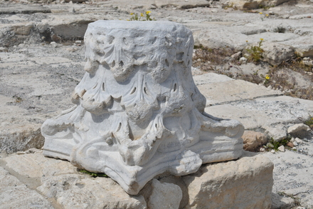 Kourion, Roman agora, Corinthian capital upsidedown