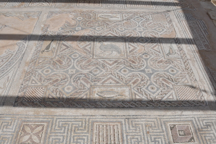 Kourion, Eustolios house, Mosaic with fish and birds
