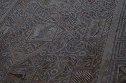 Kourion, Eustolios house, Mosaic with fish and birds