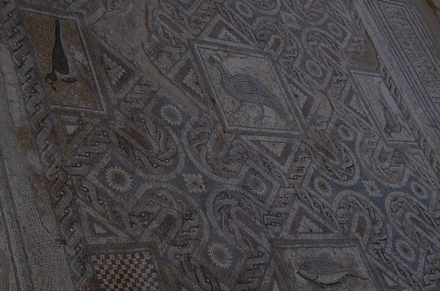 Kourion, Eustolios house, Mosaic with fish and birds