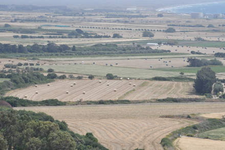 Kourion, Coastal plain