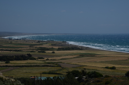 Kourion, Coastal plain east