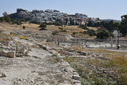 Amathous, Agora, General view