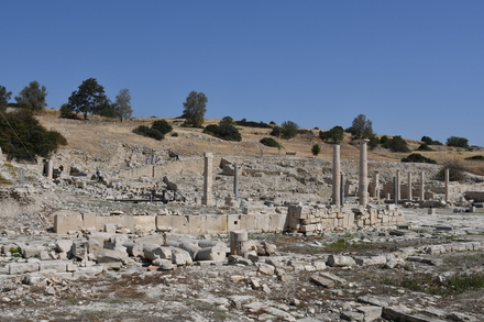Amathous, Agora, General view