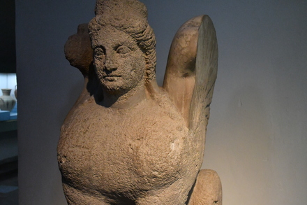Karpasia, sphinx
