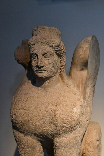 Karpasia, sphinx