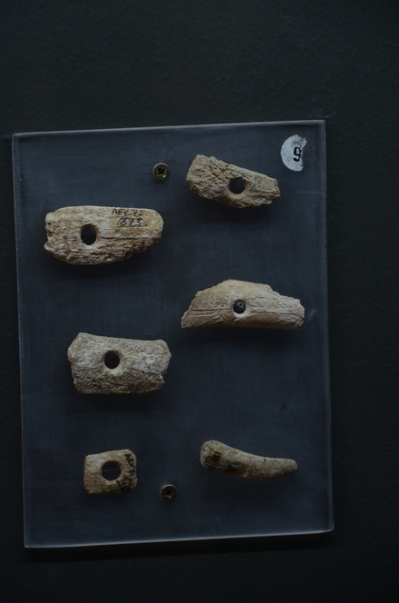 Neolithic toggles