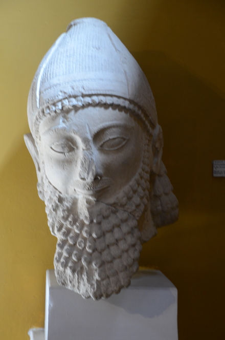 Portrait of a bearded man