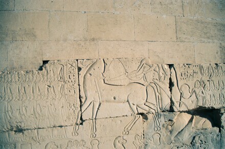 Abydos, Temple for Ramesses II, Relief of the Battle of Kadesh, King in chariot