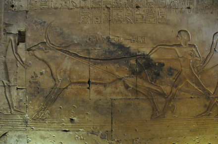 Abydos, Temple of Sety I, Relief of a bull