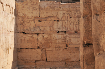 Abydos, Temple of Sety I, Relief with a sacrifice scene (?)