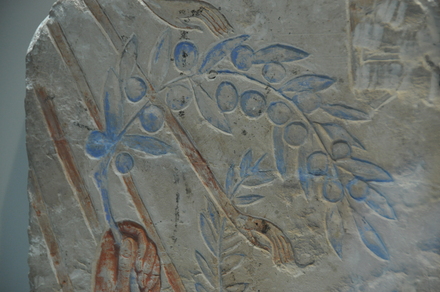 Amarna, Akhenaten (Amenhotep IV) sacrifices  olives to Aten