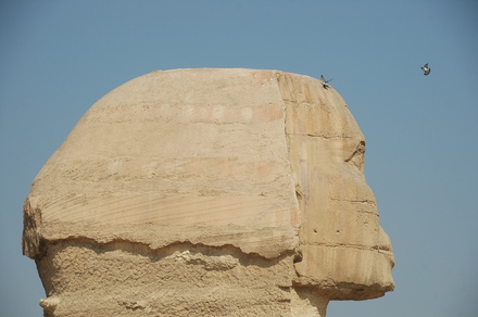 Giza, Sphinx, Head