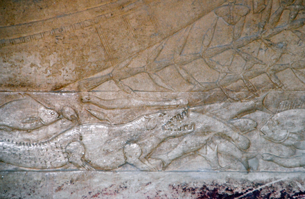Saqqara, Tomb of Ka-gmnim, Crocolile and fish