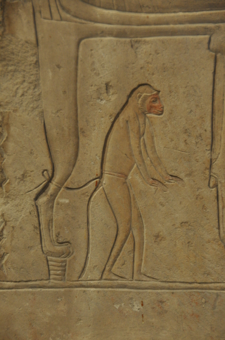 Saqqara, Tomb of Maja, Relief of a monkey