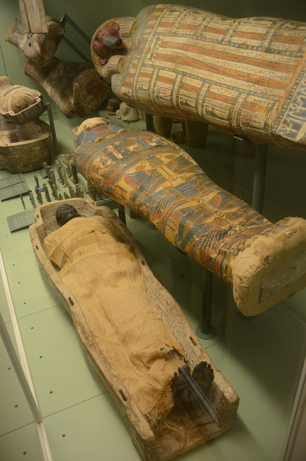 Deir el-Bahri, Mummy of Di-mut-shep-n-ankh