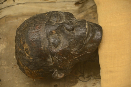 Deir el-Bahri, Mummy of Di-mut-shep-n-ankh