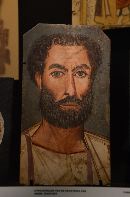 Fayyum portrait of a bearded man