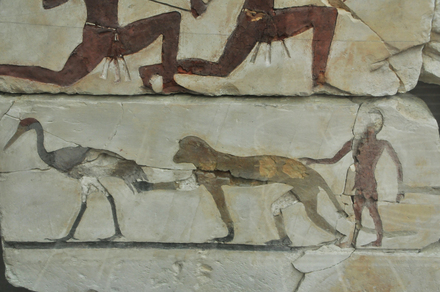 Meidum, Tomb of Atet, Boy playing with animals