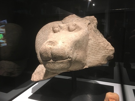 Head of the statue of a baboon