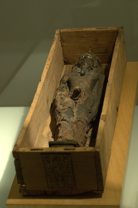 Mummy in a wooden coffin