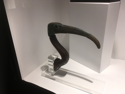 Metal head of an ibis