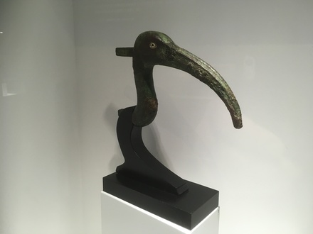 Metal head of an ibis