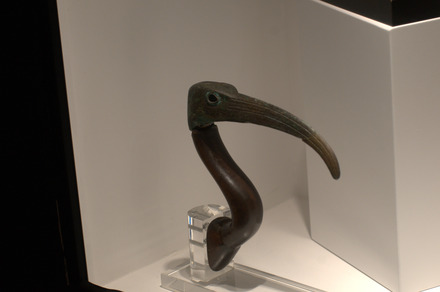 Metal head of an ibis