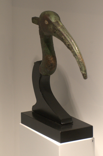 Metal head of an ibis