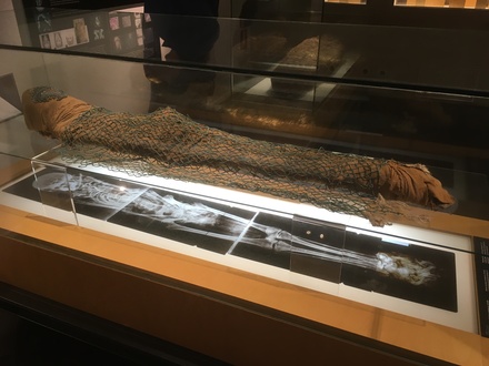 Mummy covered with a net and beads