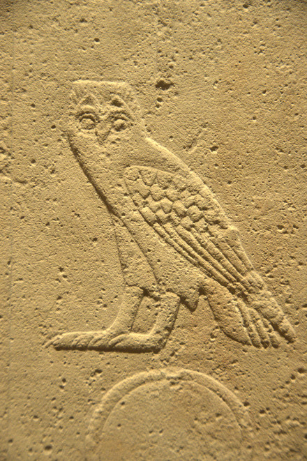 Relief of an owl