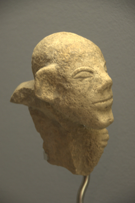 Portrait of a foreigner