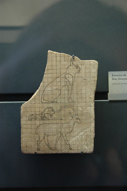 Drawing exercise: cat, lion, ibex