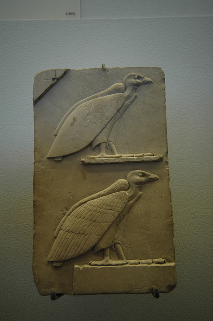 Sculptor's model of two vultures