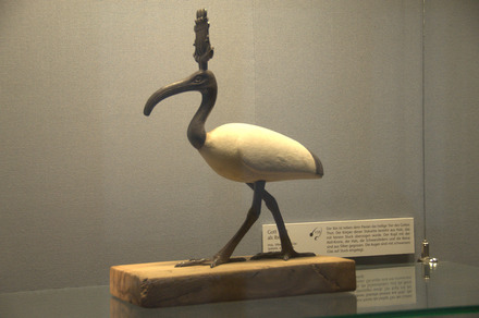 Thoth as ibis